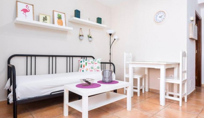 apartamento céntrico lobos