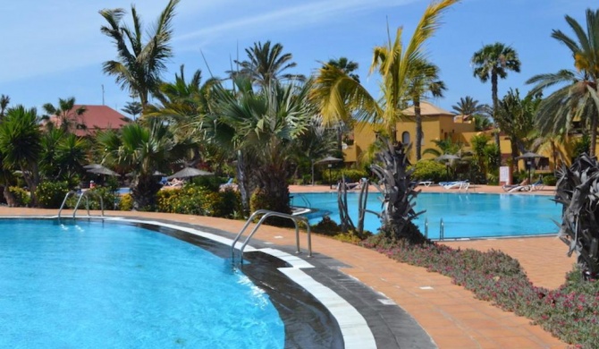 One bedroom appartement with shared pool furnished terrace and wifi at Corralejo 1 km away from the beach