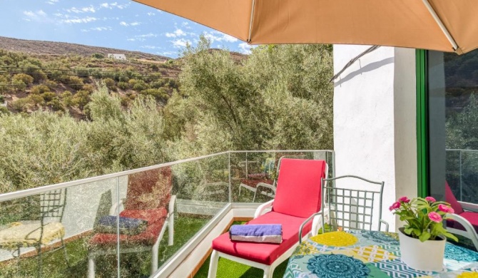 FAMILY COTTAGE AMONG OLIVE TREES