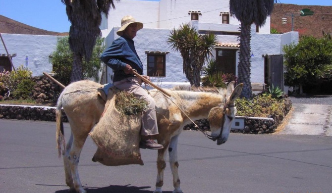 Finca Lanzarosy