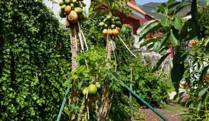 Casa rural en Tenerife