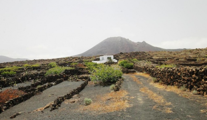 Manoa Eco House