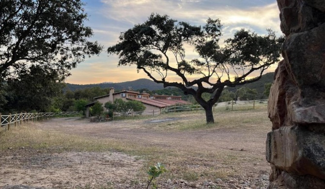 Apartamentos Rurales En Plena Sierra