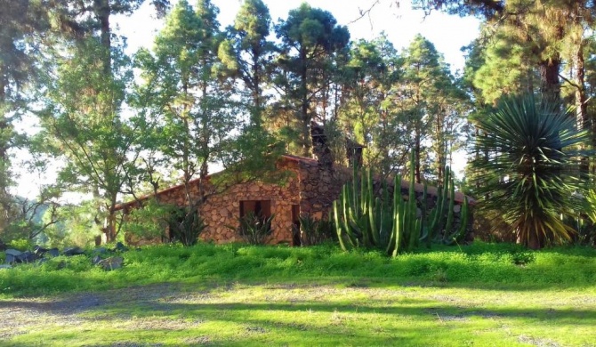 Monte frio de Tenerife