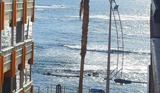 Sea Stars Las Canteras