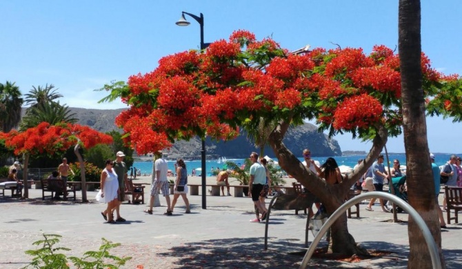 Playa de Los Cristianos Casa Adriano